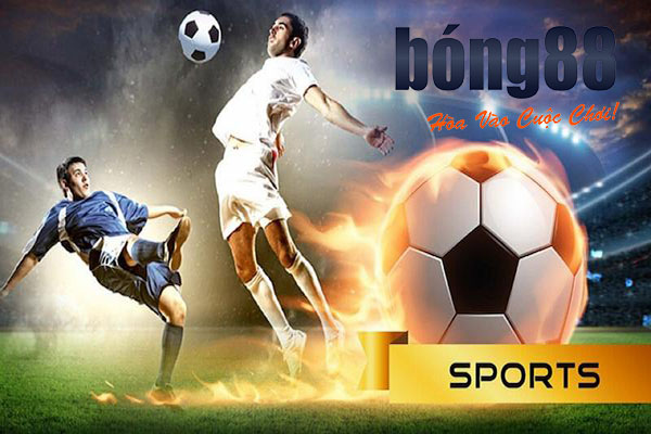 cá cược thể thao bong88